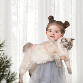 Preview in niña category