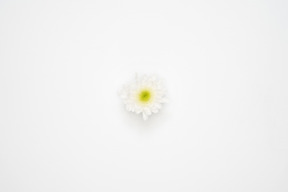 Flower head